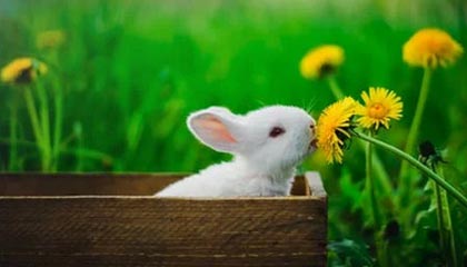 九游jiuyou-重要比赛中球队实力尽显，角逐激烈，球队比赛问题